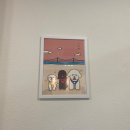 도그 윤 이미지