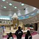 조인미디어 | 대구 원데이클래스_딸기모찌 만들기 (feat.떡공간)