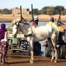 우림교역 이미지