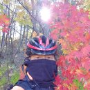 오서목장 이미지