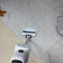 개들의 집 | 강아지 두 마리 키우는 집에서 청소기 네 개 써본 후기 – 홈앤홈 BLDC가 답이었어요