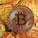 비트코인 이미지