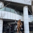 잭슨나인스 호텔 | 춘천 잭슨나인스 호텔 후기, 춘천 숙소 추천