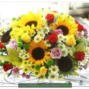 고수초등학교 이미지