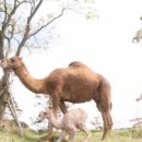 상필농장 이미지