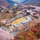 월아산 숲속의 진주(목공체험장) 이미지