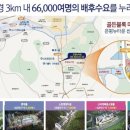 헤스티아벨리 이미지