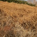 등골농장 이미지