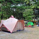 솔바람야영장 이미지