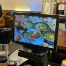 마제하루 | 배곧 베니스스퀘어 맛집 "판코" 마제소바와 안심카츠 카레덮밥 후기
