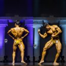 헬스피아 이미지