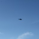 선인체육관 이미지