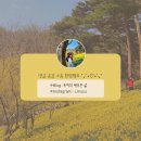 여우애김밥소사역점