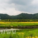 무료 결혼장소 지원! 울산지역 거주분들 보세요:) 이미지