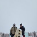 당진민의원 Daum카페