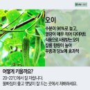 영수농장 이미지