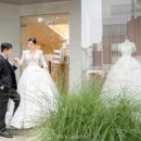로와 이미지