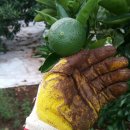 명식농장 이미지