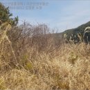 팔산리마을회관 이미지