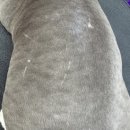 모들펫살롱 이미지