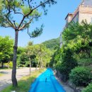 산호수별펜션 | 아이들과 함께하는 야외 수영장 포함 정읍 펜션 숙박 후기