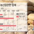 메이져 이미지