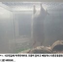 헬스중독 이미지