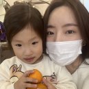 범피헤어