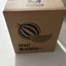 당도 높은 하우스 수박 돌쇠네농산물 후기