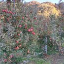 수고했어요.고맙습니다. 이미지