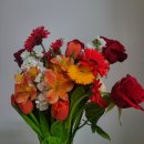 우리공판장 | 창원 근교 꽃시장 이용후기: 김해 화훼유통센터 vs 부산화훼공판장 비교