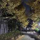 참조은건축인테리어,열쇠 | 24평 구축 아파트 인테리어_업체 계약 자재고르기 가구