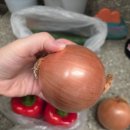 제이제이원 | 강엄마장보기] 부산·경남 신선 채소 배달, 소량 주문도 OK! ‘제이원프레쉬’ 솔직 후기 🥕🫑