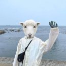 포항 1박2일 여행코스 추천 현지인 맛집 숙소 핫플 주차 꿀팁