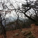 삼호주유소 이미지