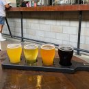 호주 브리즈번 여행 맥주 맛집 Green Beacon Brewing Co. 메뉴판, 가격 (브리즈번 펍/술집 추천)
