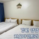 양양 베리트 바닷가 오션뷰 가족펜션 | 양양 가족숙소 펜션 하조대 지오 파인트리 오션 스위트