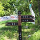 장수읍안양마을로 이미지