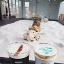 그리오어(Griore) 이미지