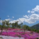 지리산생태체험단지 이미지