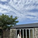 무릉차경 | 제주도 감성 숙소 추천(야외 자쿠지)｜자연 속 프라이빗 감성 숙소 🌳무릉차경-차경🌳 솔직후기(내돈내산)