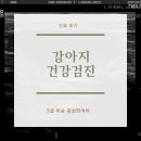 엘동물병원 이미지