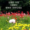 유앤유 이미지