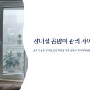 장마철 곰팡이 제거, 이 5가지 방법이면 끝!