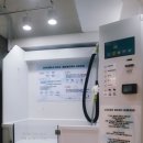 버블독스송파