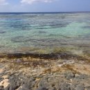 키즈마린 워터파크 이미지