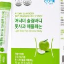 슬림바디
