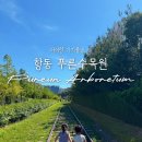 국수나무 항동점 | 광명 부천 근처 아이랑 갈만한곳 , 항동 푸른수목원 주차비 &amp; 장미 , 근처 맛집 🌹🌿 서울 날씨 좋은날...