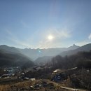 충북 제천시 과수원 1100평 10년생 작년 매출 1억2천 평당10만원 이미지