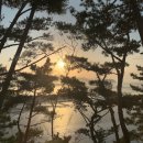 무이림5 이미지